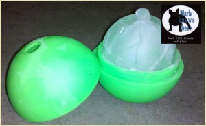 iceball 300x184 Doggy Ice Ball Over 40% off on Doggy Loot!